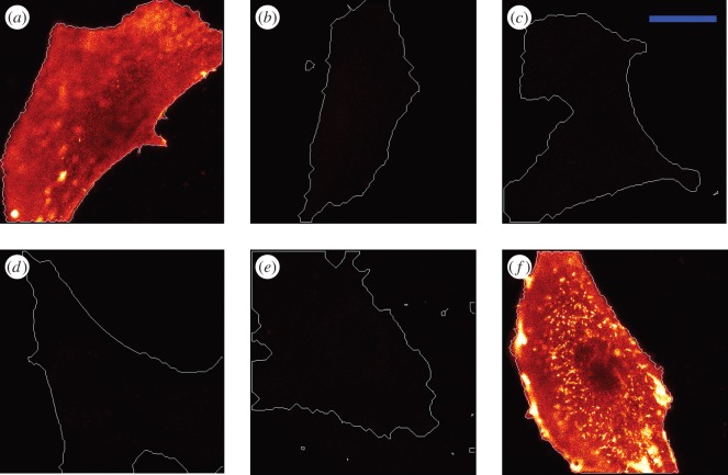 Figure 3.