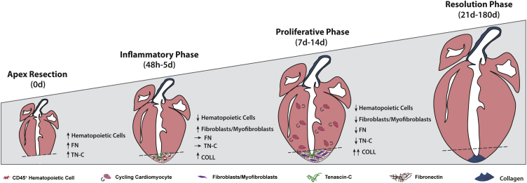 Figure 6