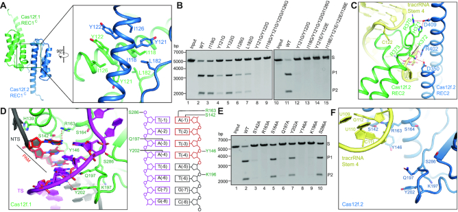 Figure 3.