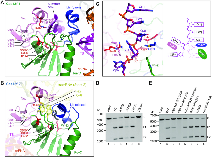 Figure 4.