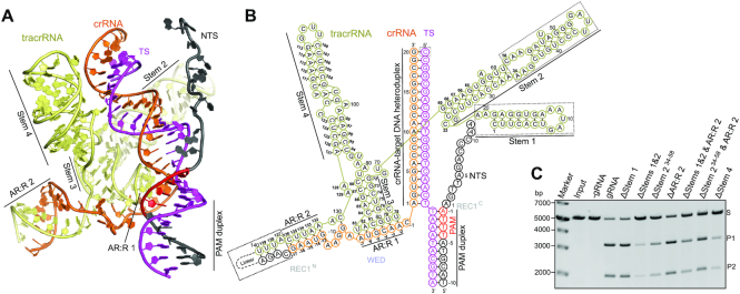 Figure 2.