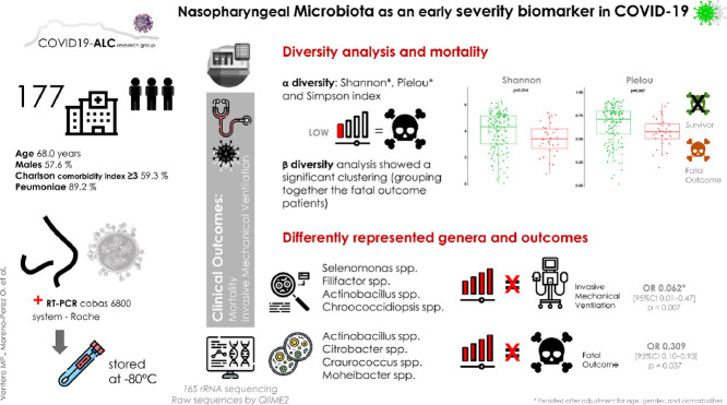 Image, graphical abstract