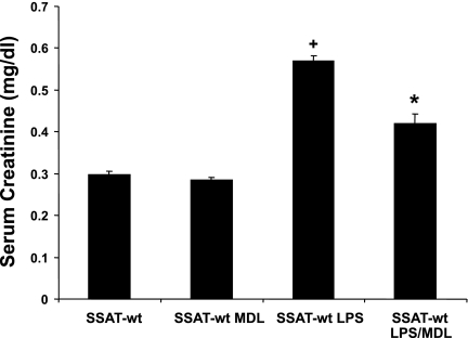 Fig. 12.