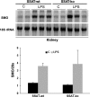 Fig. 9.