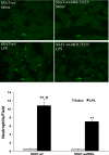 Fig. 14.