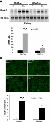 Fig. 10.