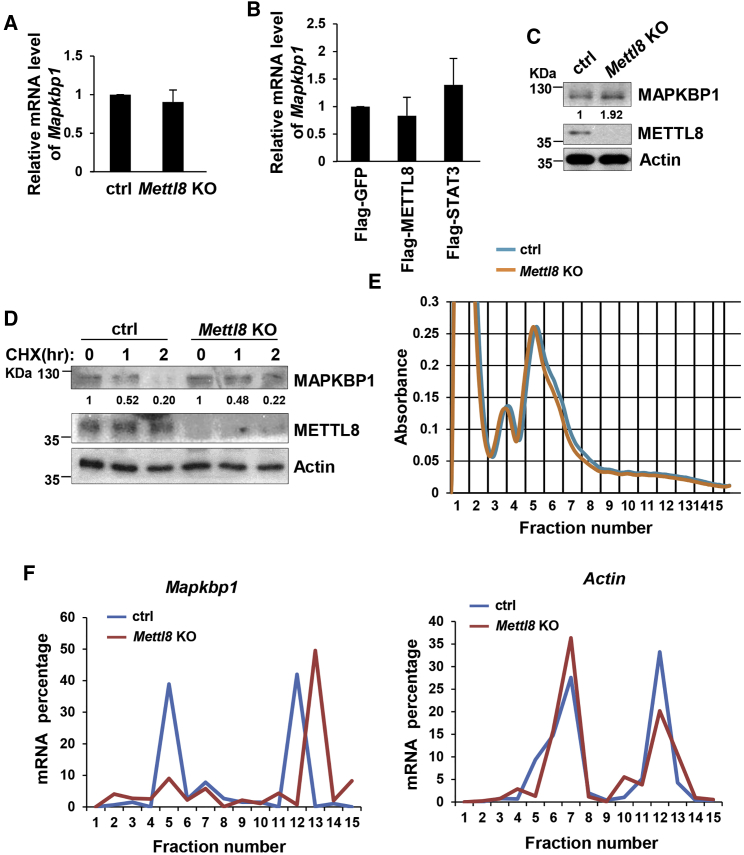 Figure 5