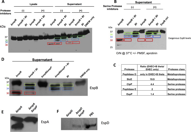 FIG 2