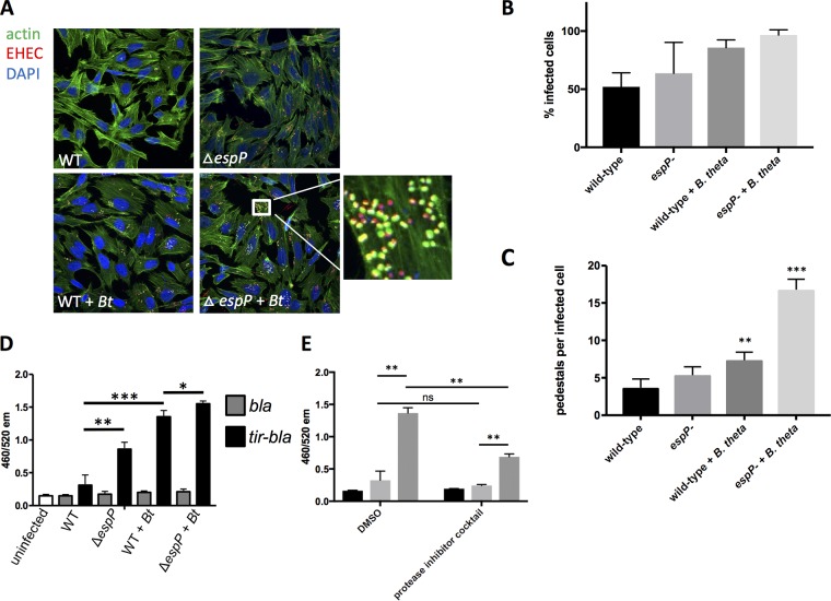 FIG 3