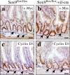 Figure 9.