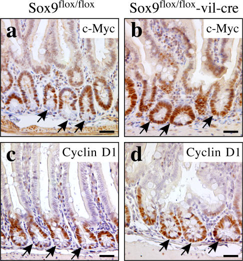 Figure 9.