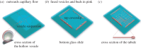 Figure 1.
