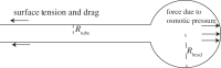 Figure 3.