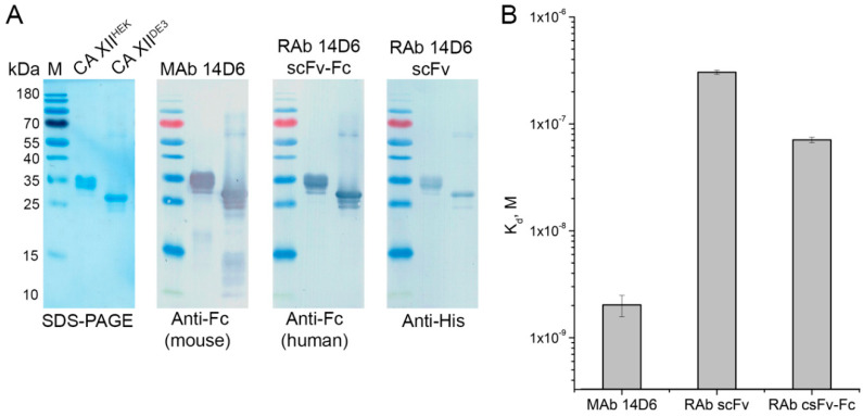 Figure 11