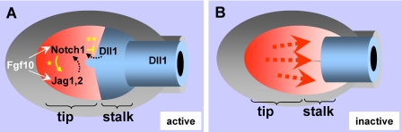 FIGURE 9.