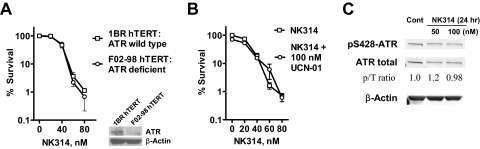 Fig. 4.