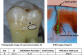 Fig. (4)
