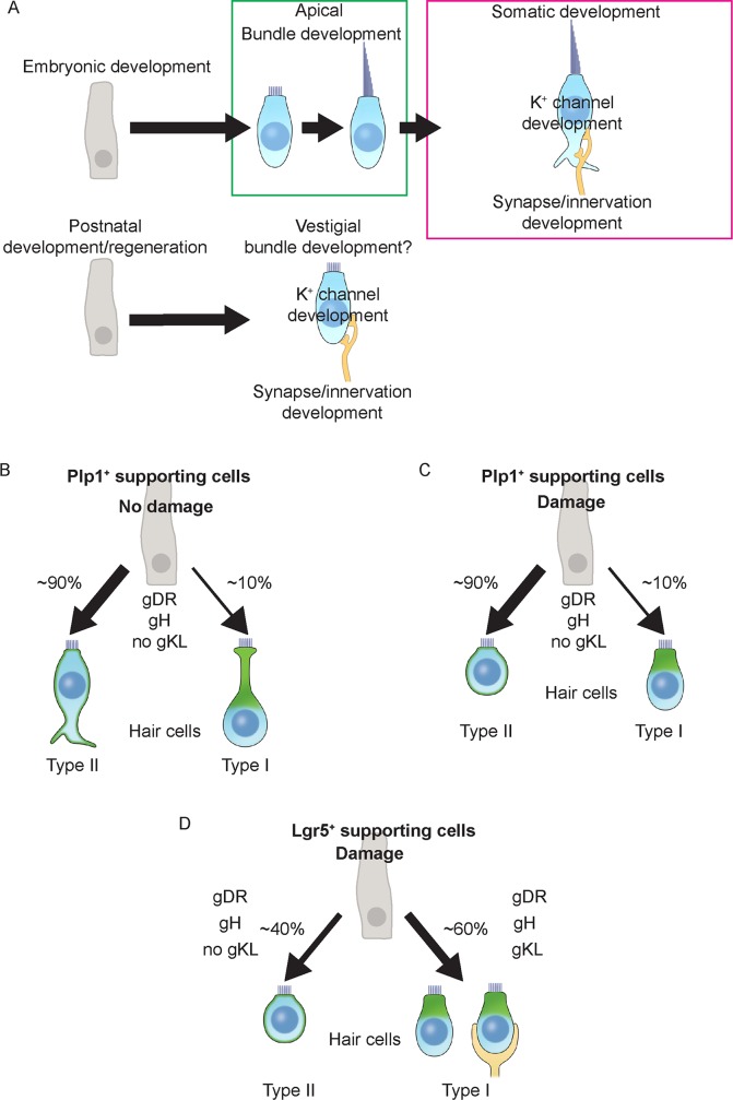 Fig 12