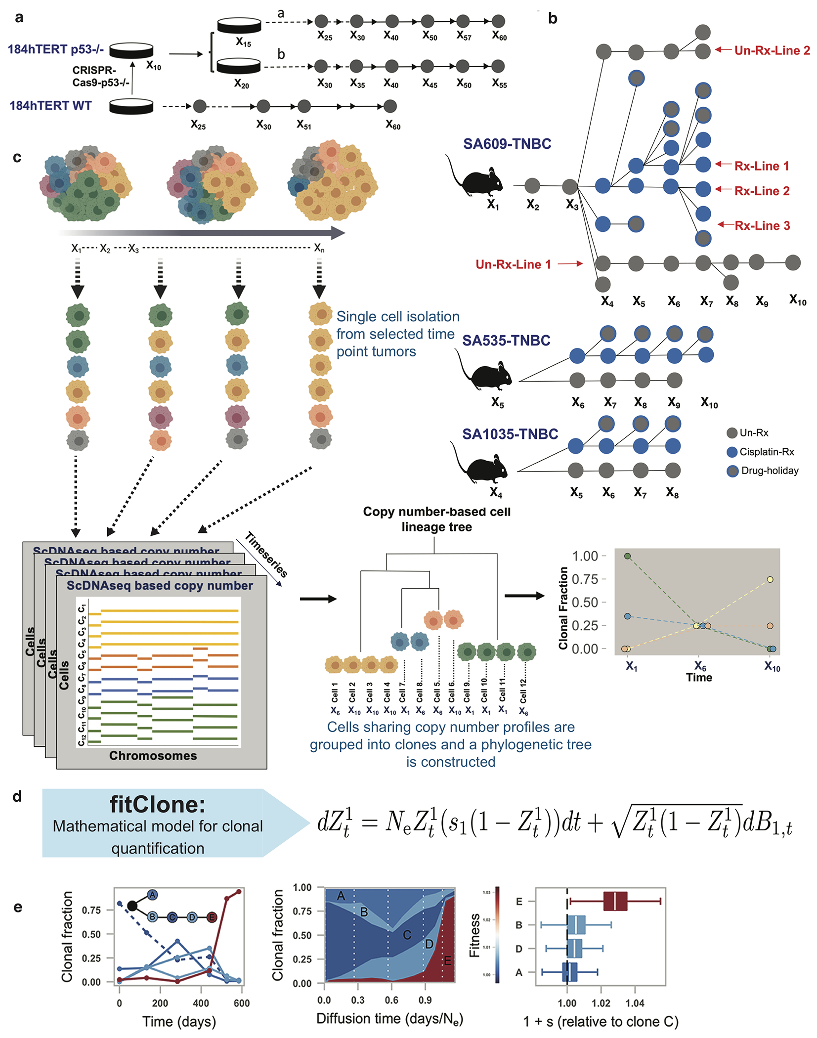 Extended Data Fig. 1