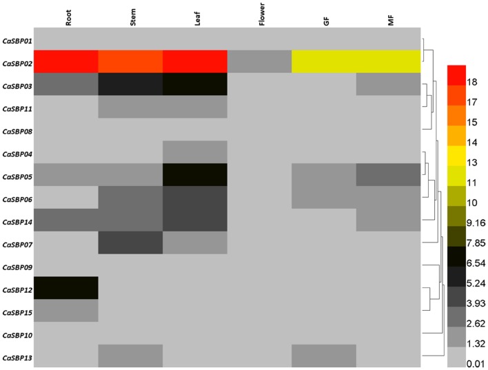 FIGURE 7