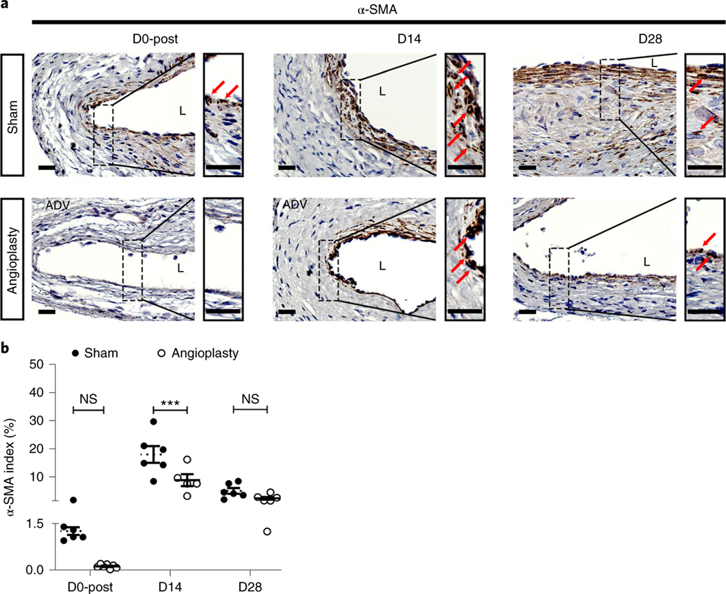 Fig. 4 |