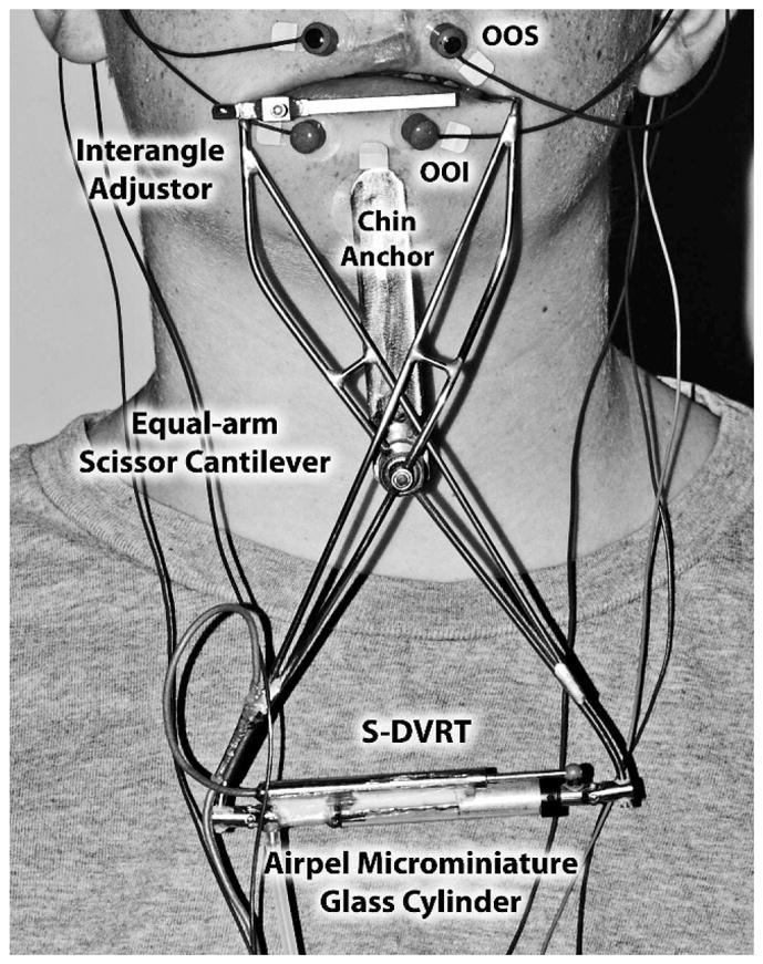 FIGURE 1