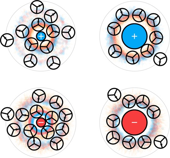 Figure 19