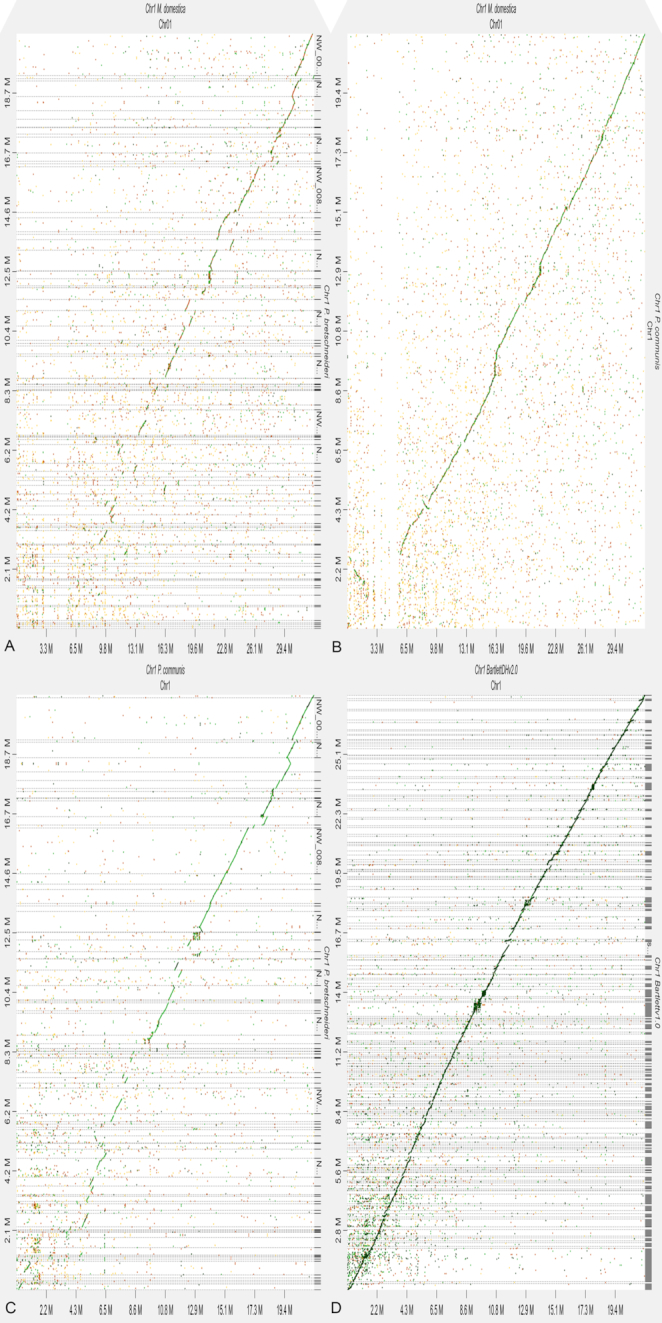 Figure 5: