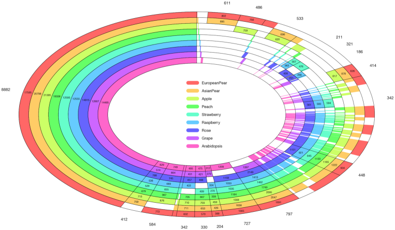 Figure 3: