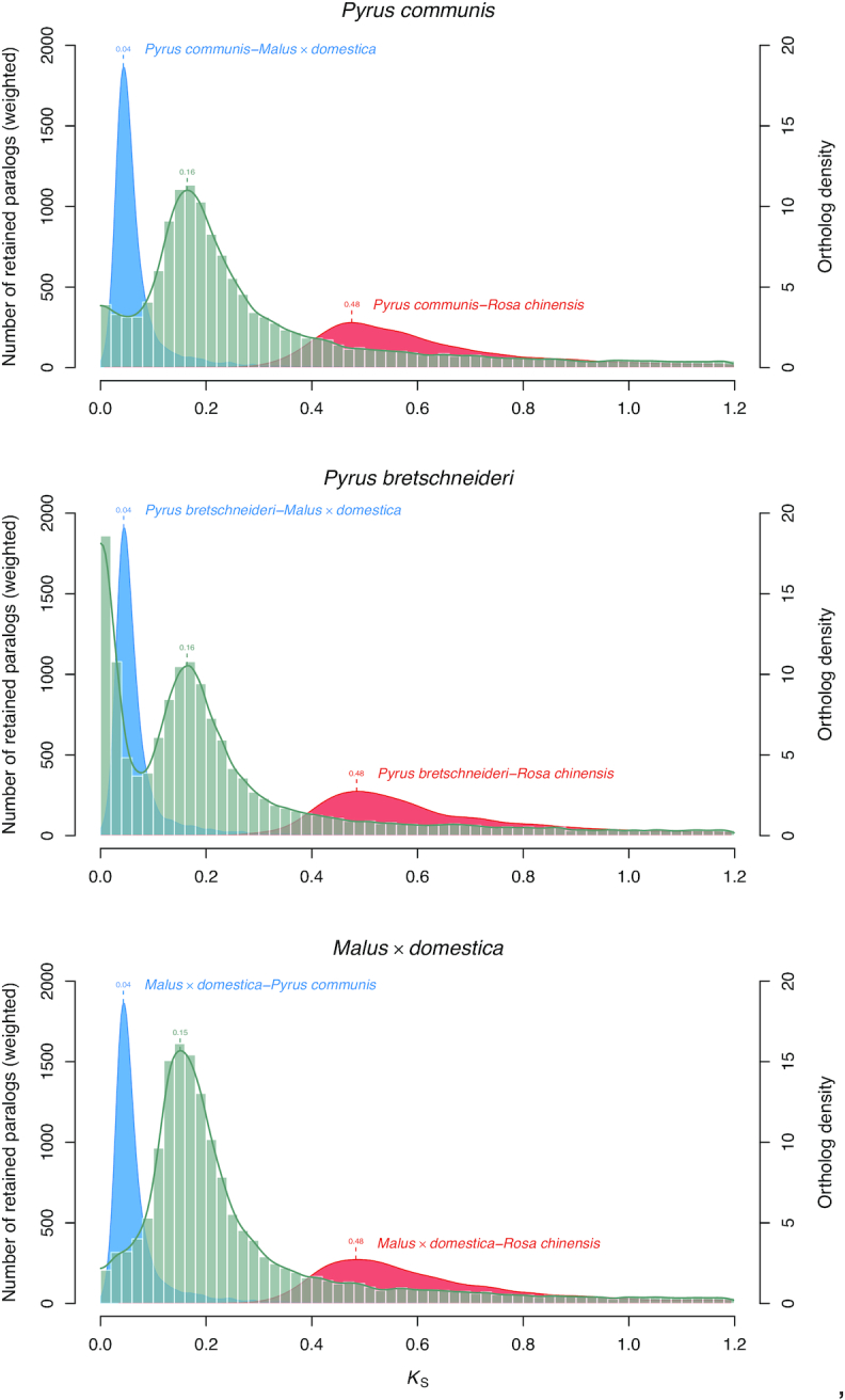 Figure 4: