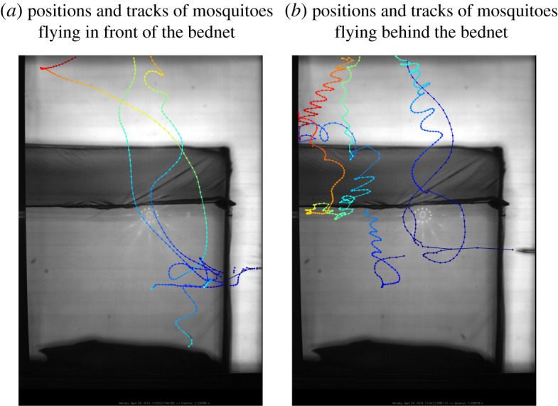 Figure 7.