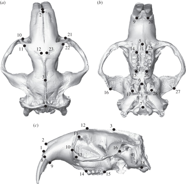 Figure 2.