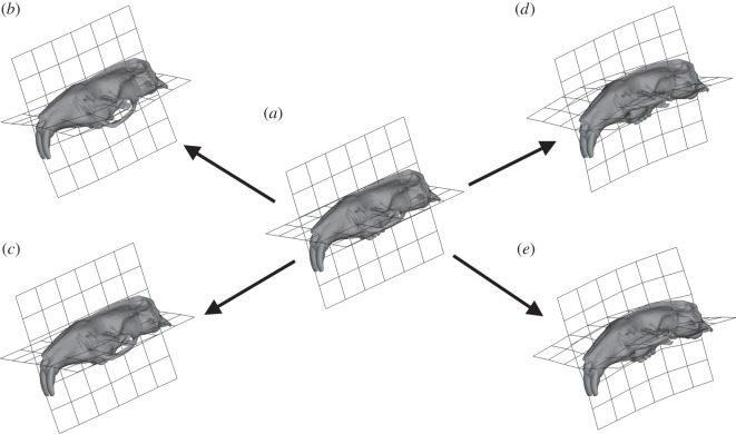 Figure 5.