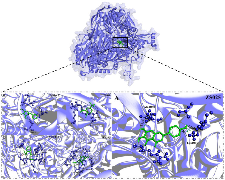 Figure 6