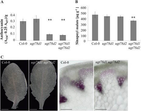 Fig. 6.