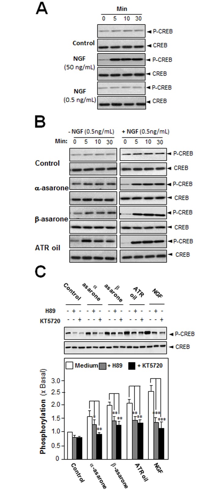 Fig 5