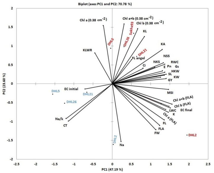 Figure 12