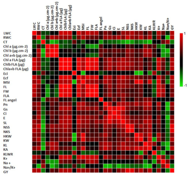 Figure 11