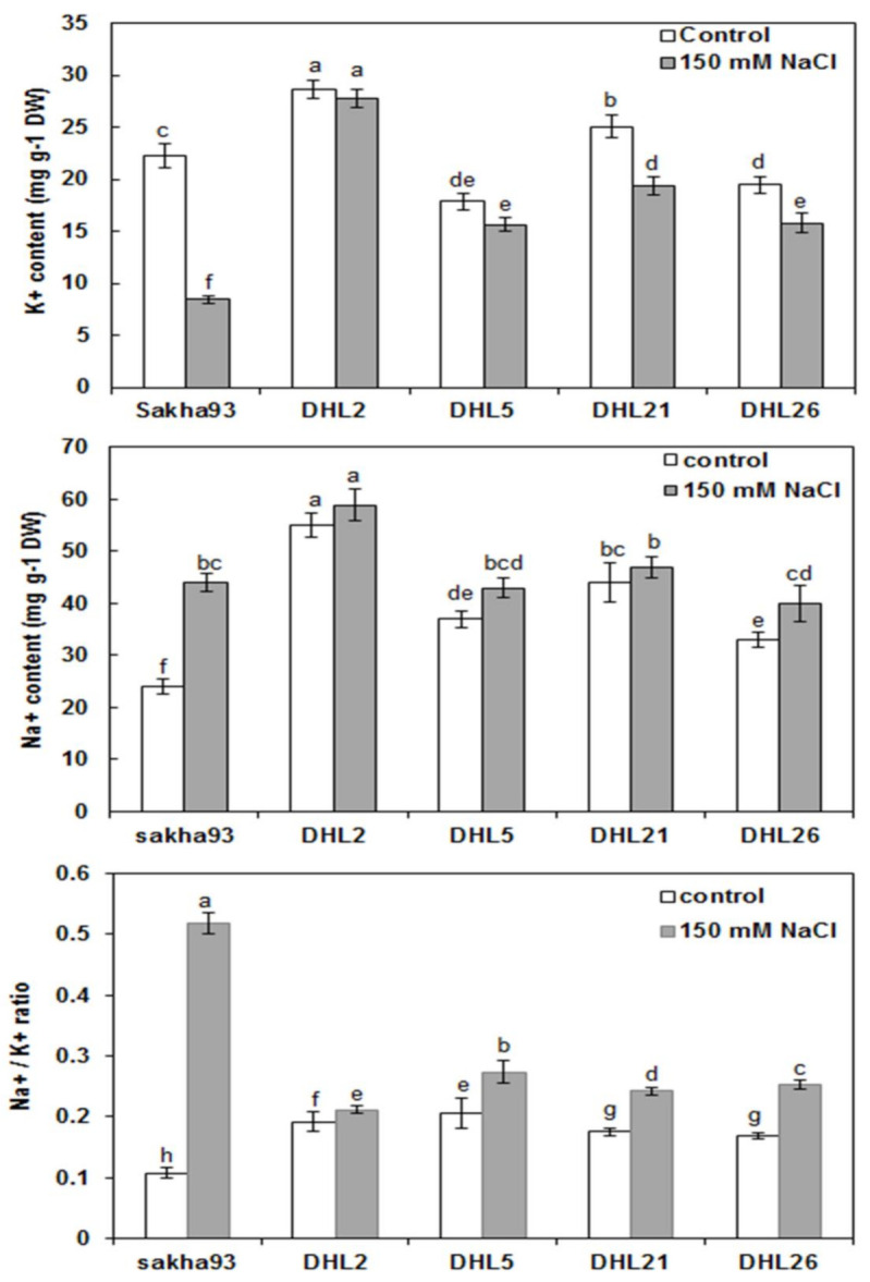 Figure 7