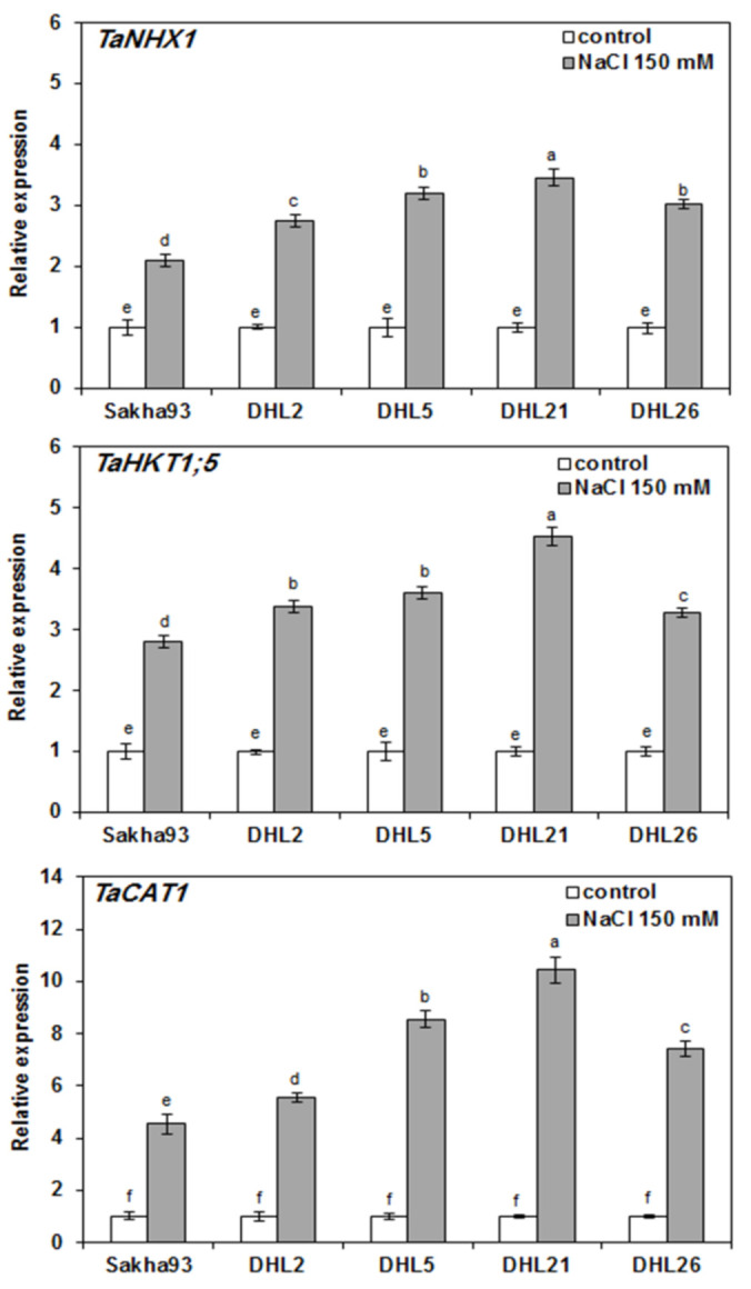 Figure 10