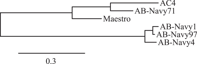 Fig. 2