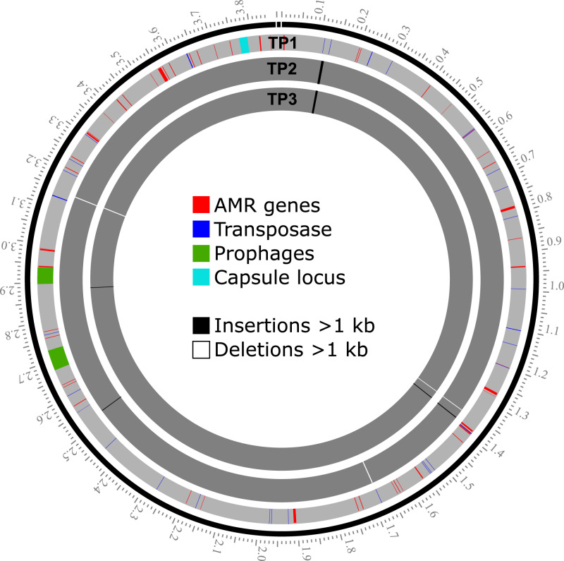 Fig. 4