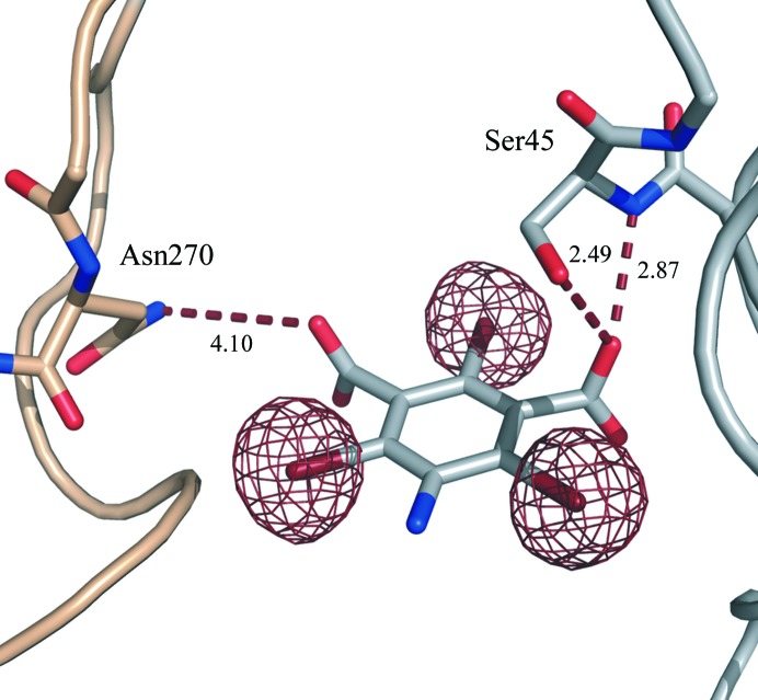 Figure 5