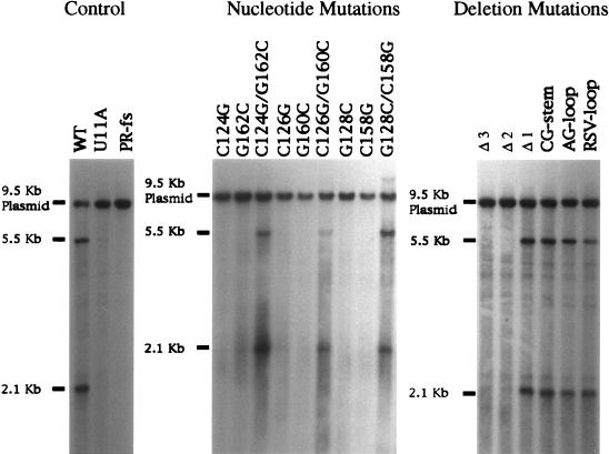 FIG. 6