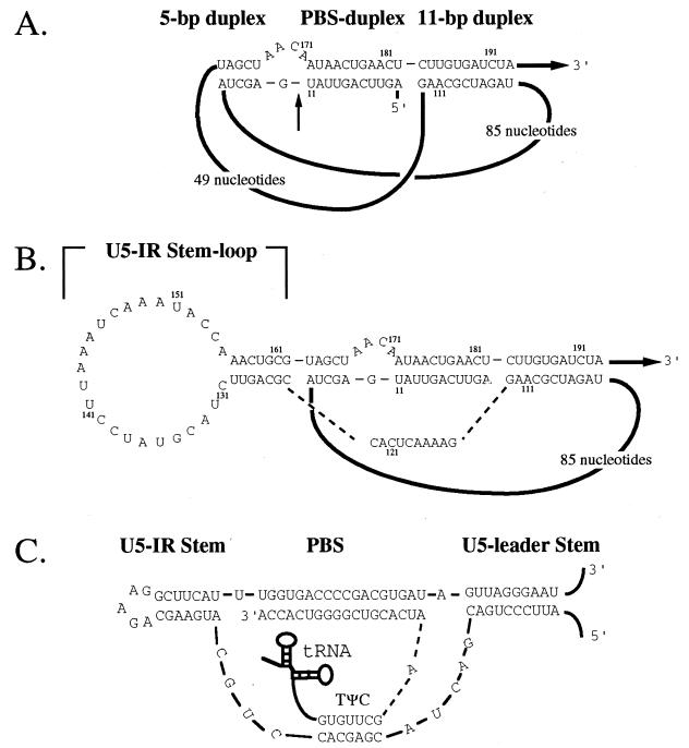 FIG. 1