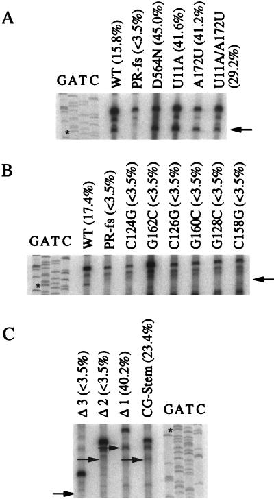 FIG. 7