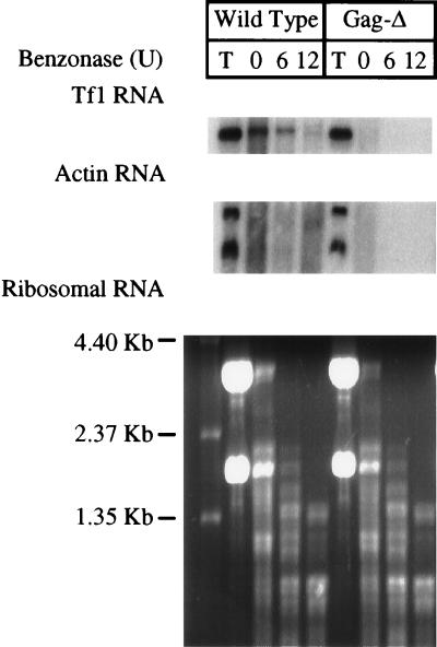 FIG. 8