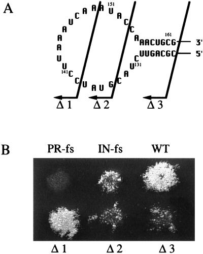 FIG. 4