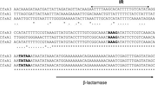 FIG. 3.