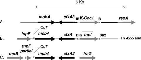 FIG. 2.